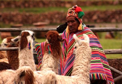 peru de fiesta